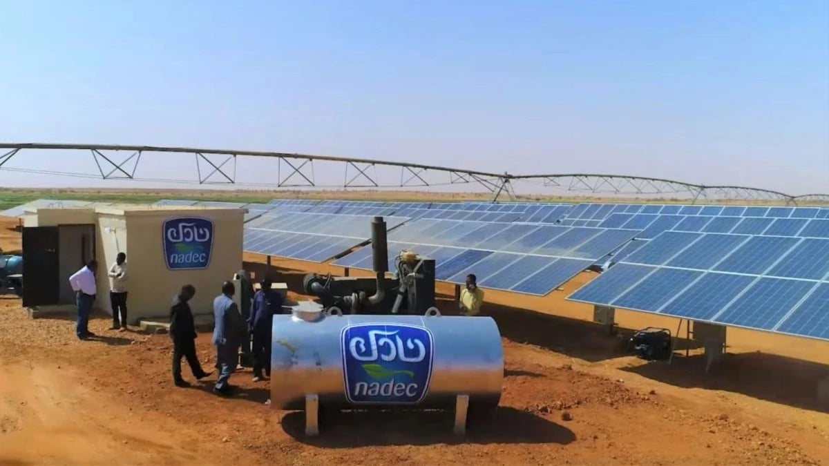 ضغوط الأعلاف والشحن تهبط بأرباح «نادك» 44% إلى 6.4 مليون ريال