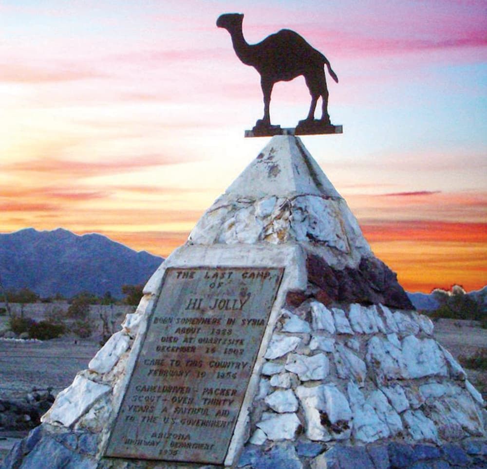 علي البدوي .. وقصة دخول الجمل العربي إلى أمريكا