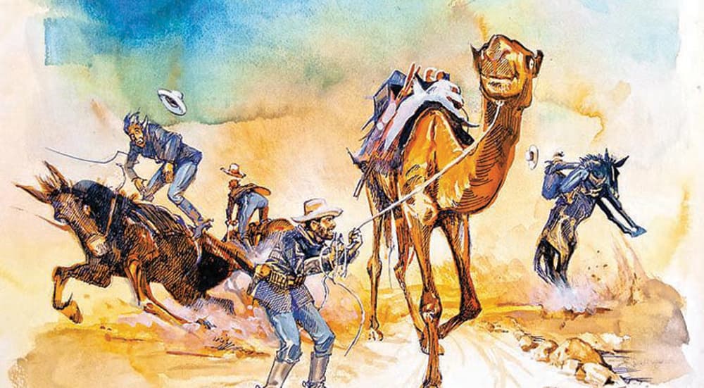 علي البدوي .. وقصة دخول الجمل العربي إلى أمريكا