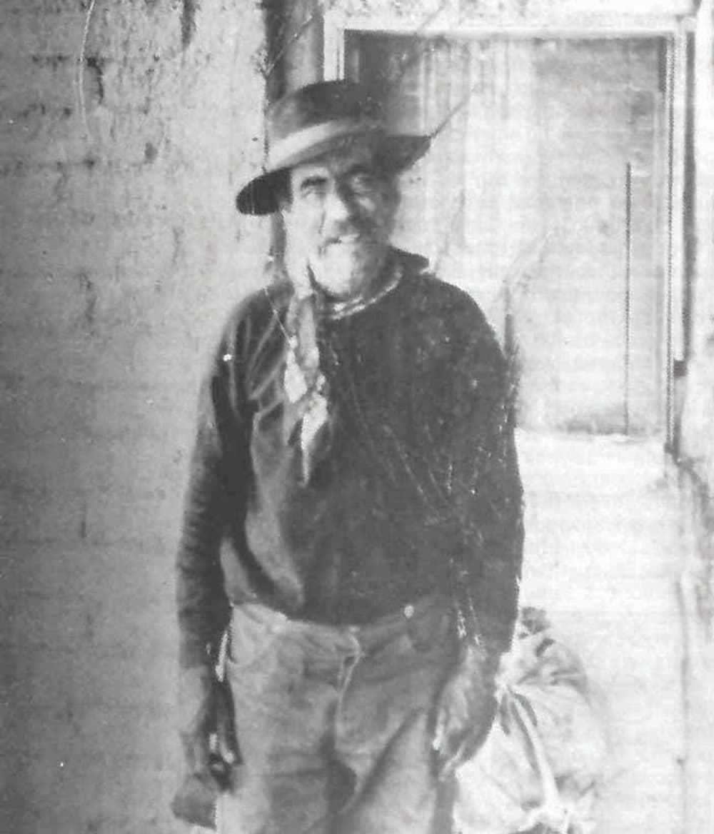 علي البدوي .. وقصة دخول الجمل العربي إلى أمريكا