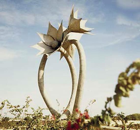 جدة في الثمانينيات .. كان لـ «الحداثة»
موعد مع الشمس