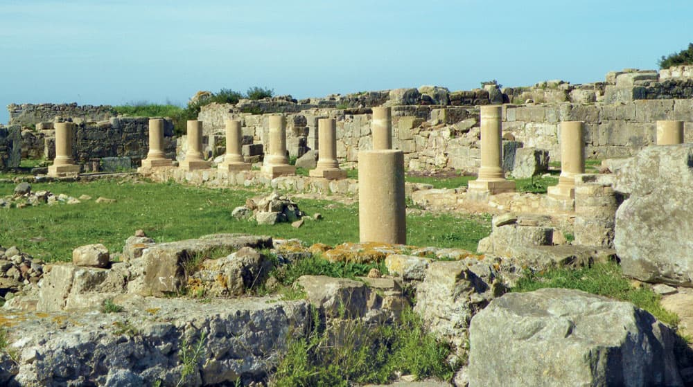 مدينة ليكسوس