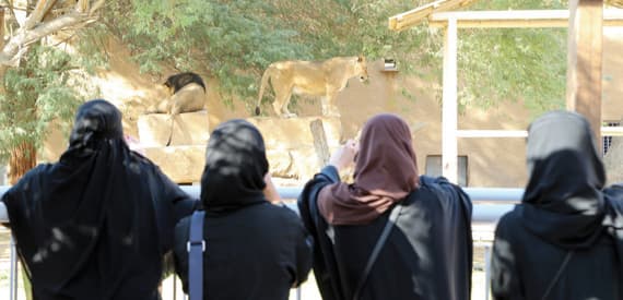 تنتشر محال بيع الهدايا وأكشاك للشاي و»كوفي شوب»، فضلا عن وجود مطعم مخصص للزوار.
