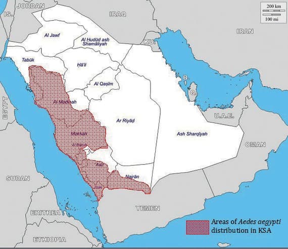 خريطة أعدتها وزارة الصحة تظهر مناطق انتشار البعوضة الناقلة لحمى الضنك."الاقتصادية"