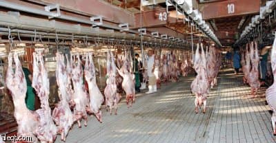 مبيعات سندات الأضاحي في الحج تسجل رقما قياسيا