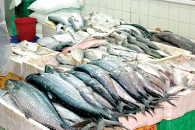 مطالب بتعميم السوق الموحدة للحوم في أحياء العاصمة