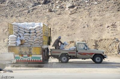 "الزراعة": ارتفاع أسعار الشعير غير مبرر.. و20 ريالا السعر العادل