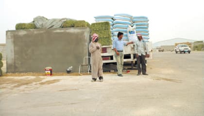 انخفاض أسعار الأعلاف في وادي الدواسر والسليل