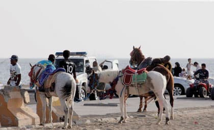 منع الدبابات والخيول نهائيا في كورنيش جدة الجنوبي