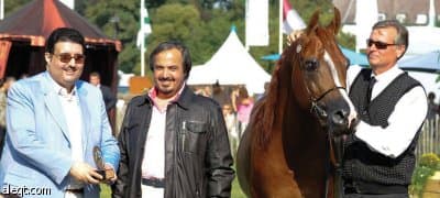 الخالدية وعذبة يتبختران بذهبية وبرونزية بلجيكا