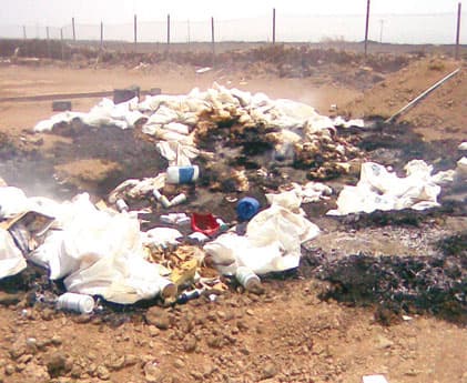 إغلاق مزرعة تذبح الدجاج المريض في المدينة