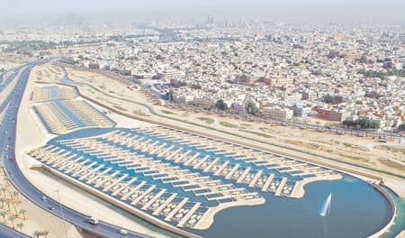 نظام معالجة طبيعي ينقي مياه وادي حنيفة من الملوثات