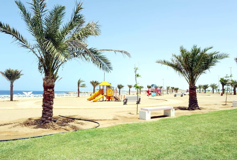 محافظة الوجه.. شواطئ رملية نقية وشعاب مرجانية تشكل عامل جذب سياحي للسياح