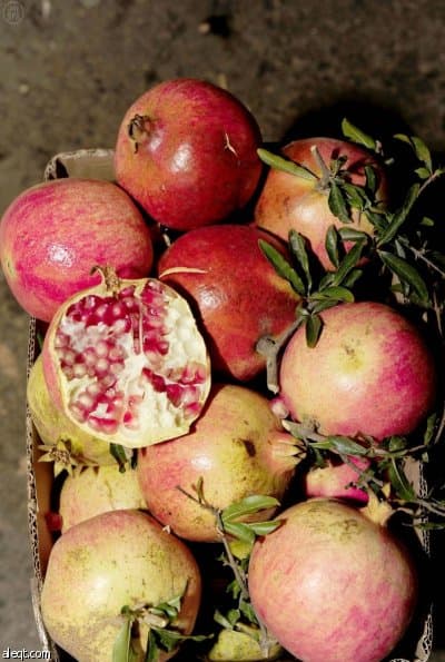 مذاق رمان الباحة يلفت أنظار المتسوقين