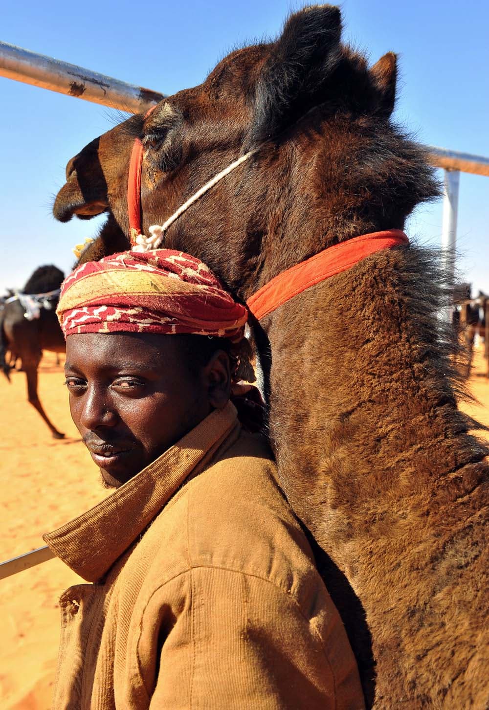 اختتام عرض الإبل المجاهيم فئة "100" المشاركة في جائزة الملك عبدالعزيز بأم رقيبة لتبدأ غدا "الفردي"