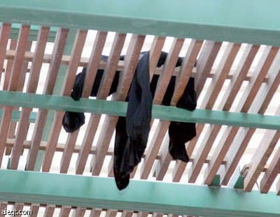 تعليم جدة : مدارس براعم الوطن تحمل تراخيص سارية المفعول من جميع الجهات المختصة