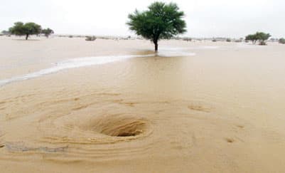 تمدد حراري يجلب الدفء للجنوب الغربي واستمرار البرودة في الوسطى والشرقية