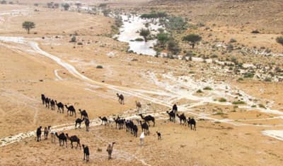 توقعات بأمطار غزيرة غداً على منطقة الرياض.. وتقلبات الطقس مستمرة