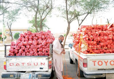 ابتعاد السعوديين عن «البصل» و«البطاطس» أتاح فرصا مربحة للأجانب