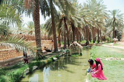 4 آلاف مزرعة في القصيم تتحول إلى السياحة الزراعية