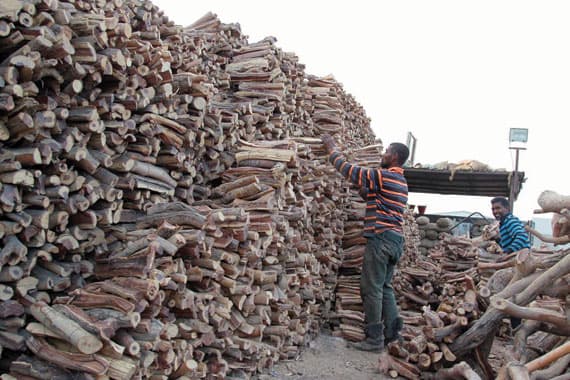 الحطب المحلي يختفي من الأسواق .. بيع الفحم فقط