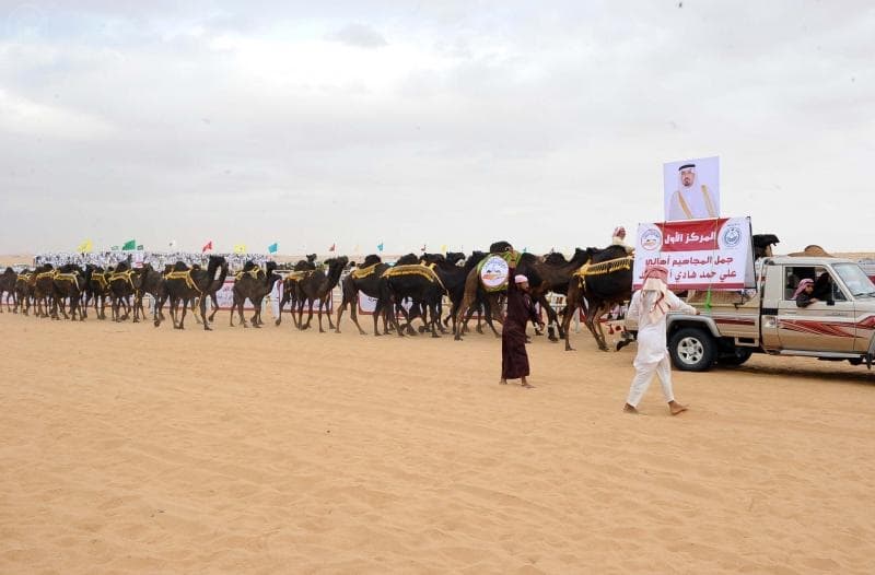 أمير نجران يرعى الحفل الختامي لمهرجان نجران لمزاين الإبل