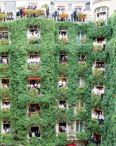 صور مذهلة .. خارج المألوف