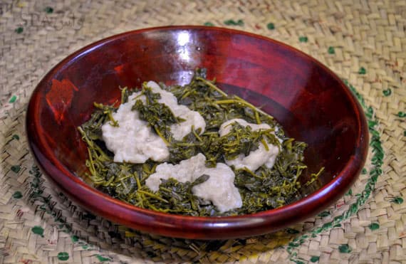 قصة مصورة : أهالي الباحة يستثمرون نبتة القرّاص في تنشيط الجسم