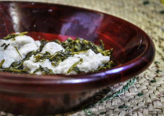 قصة مصورة : أهالي الباحة يستثمرون نبتة القرّاص في تنشيط الجسم