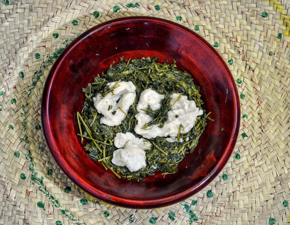 قصة مصورة : أهالي الباحة يستثمرون نبتة القرّاص في تنشيط الجسم