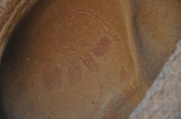 قصة مصورة : جبل شدا في الباحة.. مجّمَع البيئات المتباينة والكائنات النادرة