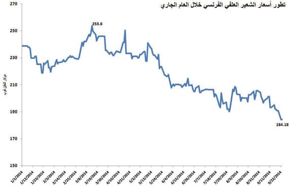 27 % انخفاضا في أسعار الشعير العالمية خلال 6 أشهر