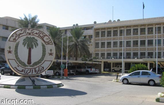 الزراعة: الحظر على استيراد الطيور من دول العالم مستمر