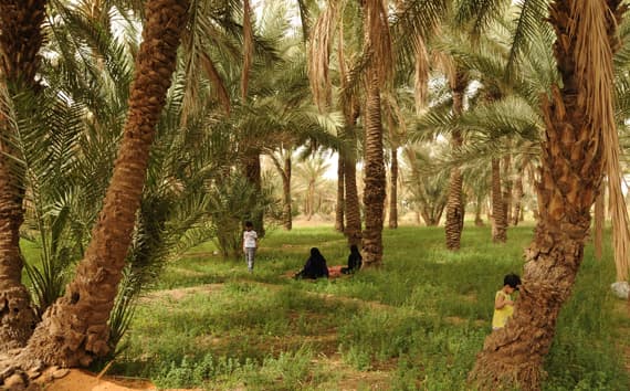 «السياحة»: الترخيص لـ 34 مزرعة ريفية «سياحية» في المملكة
