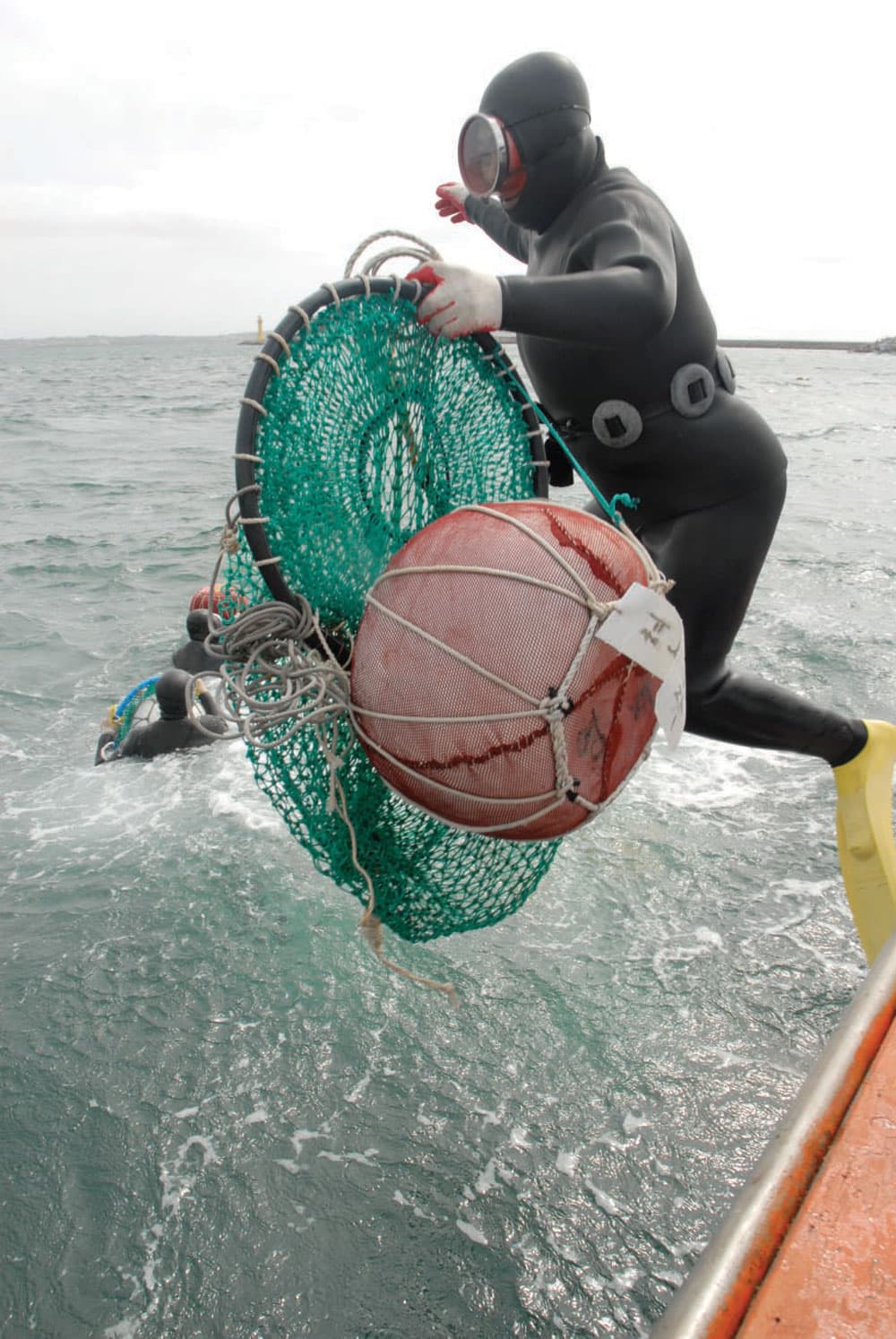 نساء فوق 80 عاما يكسبن عيشهن من الغوص في البحر