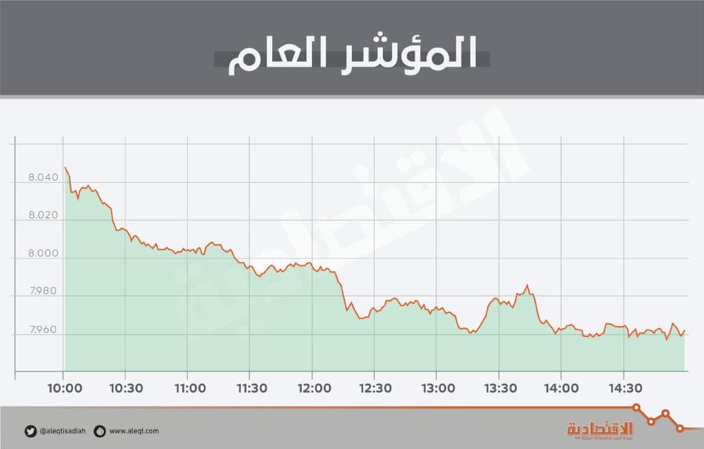 الأسهم السعودية تفقد حاجز 8000 نقطة متأثرة بتراجع جماعي للقطاعات
