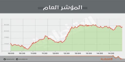 الأسهم السعودية تفقد حاجز 8000 نقطة متأثرة بتراجع جماعي للقطاعات