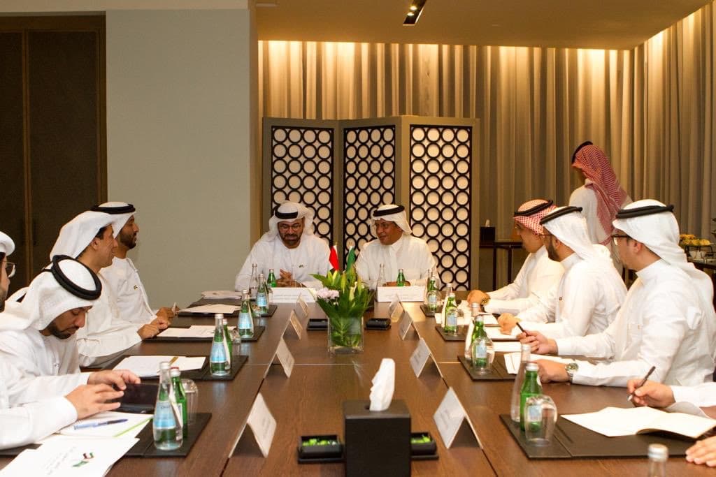 تشكيل اللجنة التنفيذية لمجلس التنسيق السعودي الإماراتي
