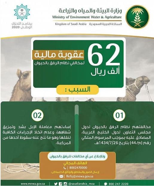 "البيئة" تفرض غرامات بقيمة 62 ألف ريال على 3 مخالفين لنظام الرفق بالحيوان