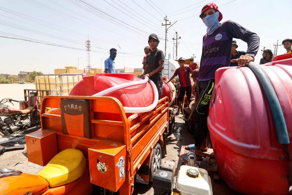 نخيل البصرة فخر العراق الذي أيبسته الحرب والجفاف والواردات الخارجية