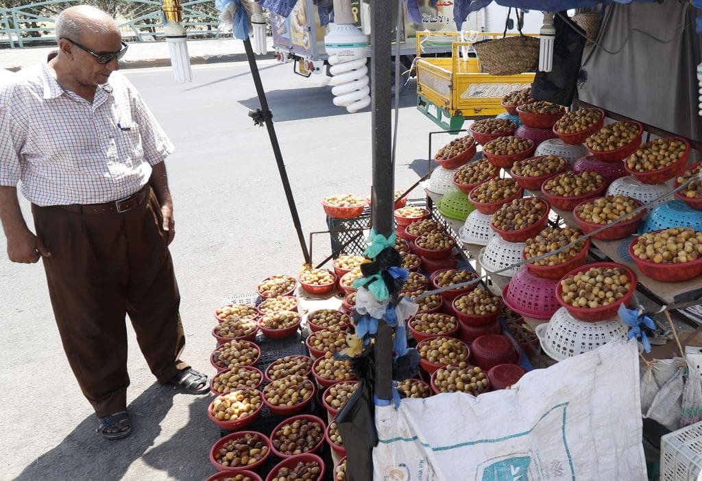 نخيل البصرة فخر العراق الذي أيبسته الحرب والجفاف والواردات الخارجية