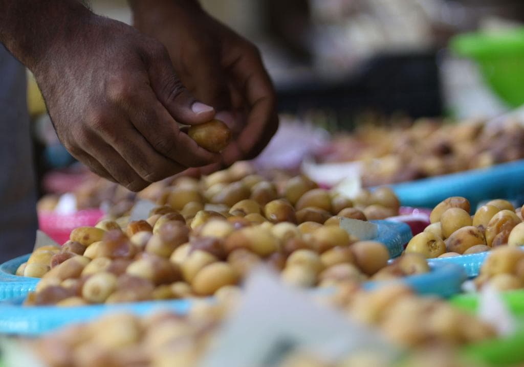 نخيل البصرة فخر العراق الذي أيبسته الحرب والجفاف والواردات الخارجية