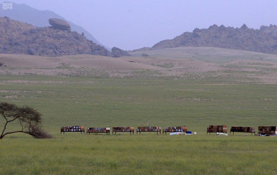 نحالو عسير يعتمدون رحلة الشتاء والصيف لزيادة إنتاج العسل والحفاظ على الخلايا