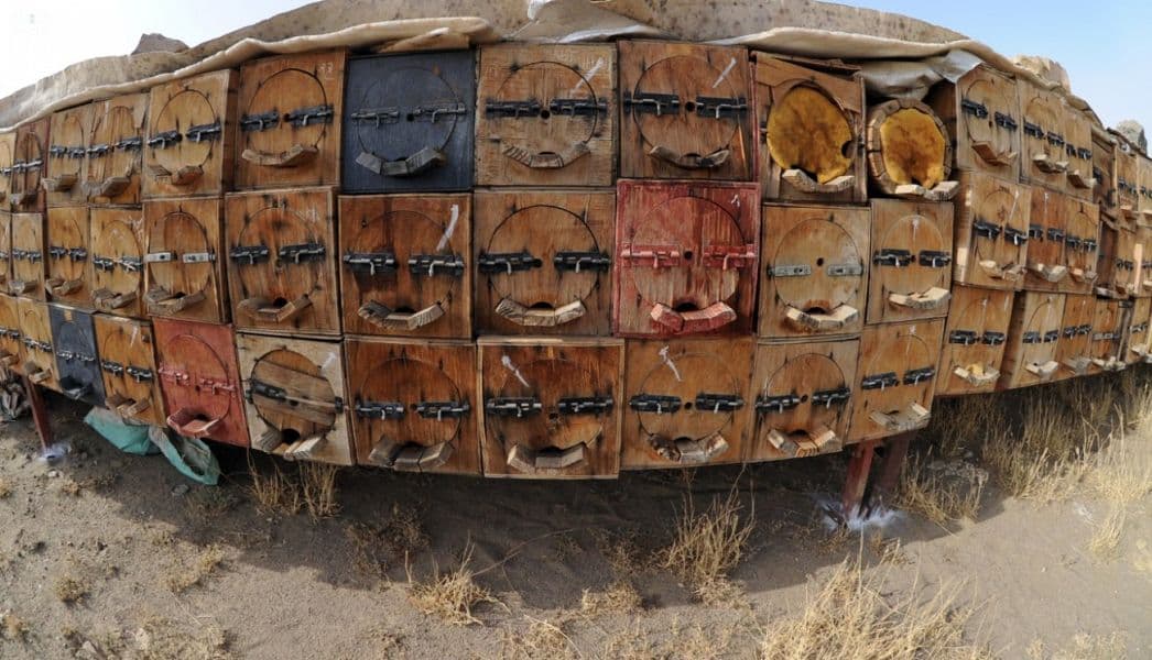 نحالو عسير يعتمدون رحلة الشتاء والصيف لزيادة إنتاج العسل والحفاظ على الخلايا