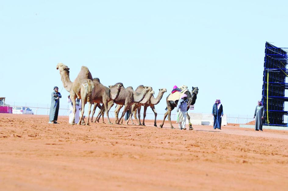 في الشعل والمجاهيم.. عبث في منقيتين