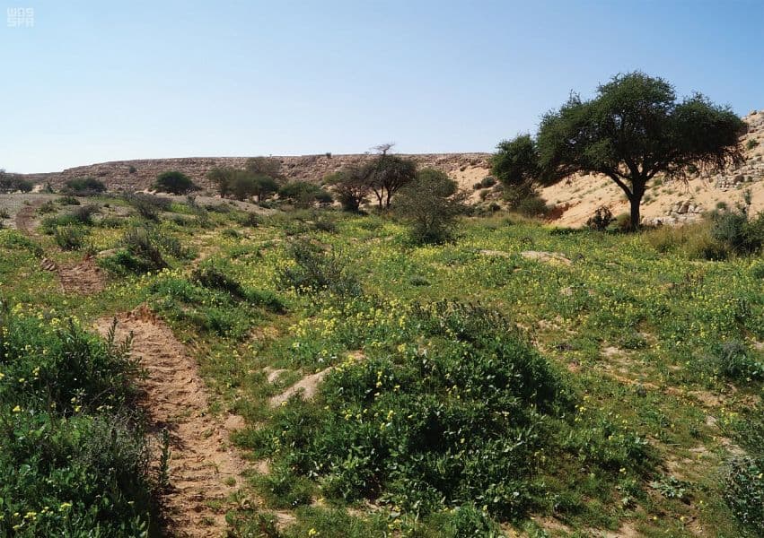 رياض المستقبل .. رؤية طموحة تنقل العاصمة للعالمية