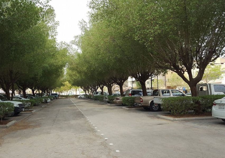 رياض المستقبل .. رؤية طموحة تنقل العاصمة للعالمية