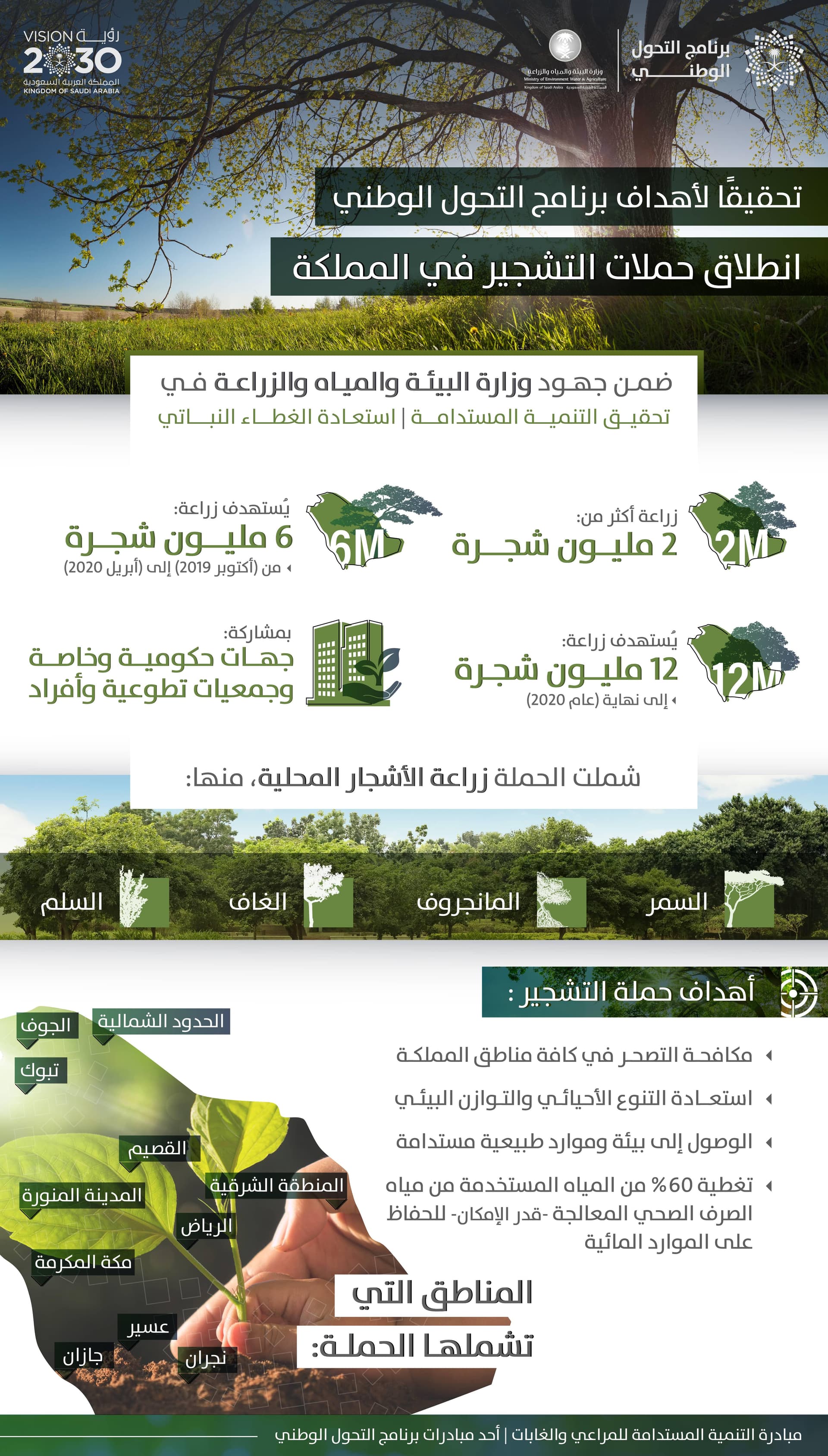 السعودية تطلق المرحلة الأولى من زراعة 12 مليون شجرة في المملكة حتى نهاية 2020