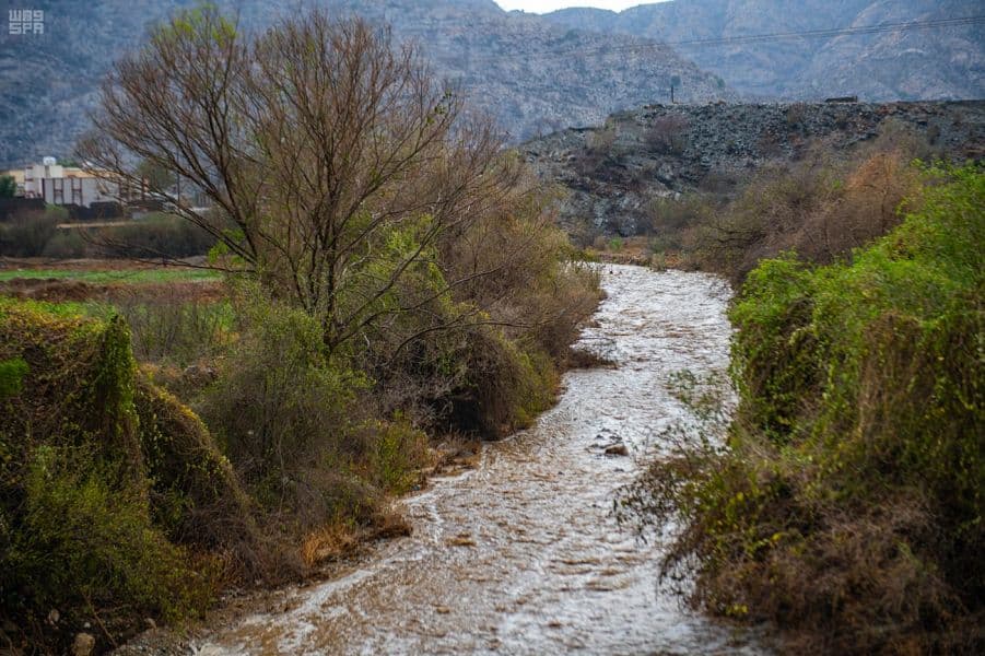 مصحوبة بزخات من البرد .. الأمطار تواصل هطولها على "عسير"