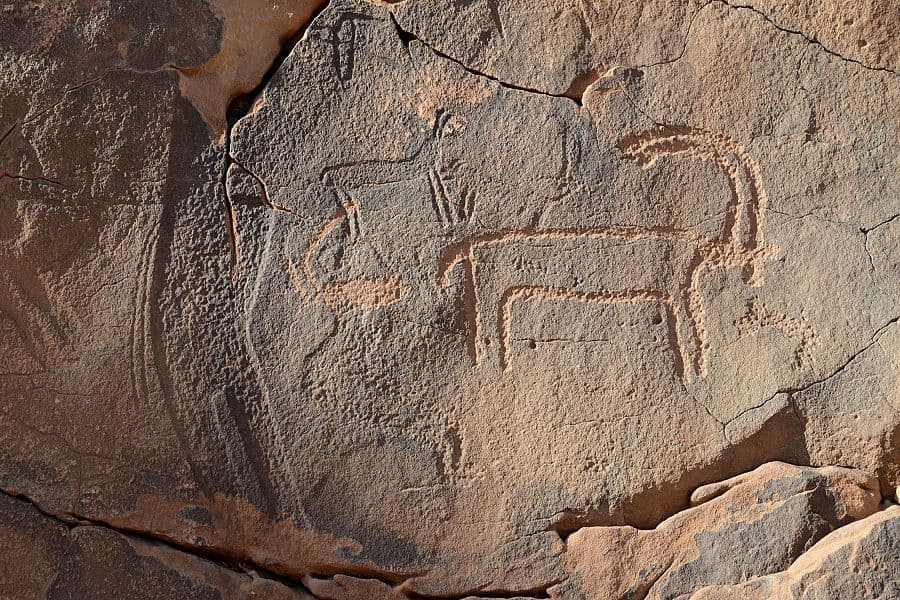 جبل أم سنمان في حائل .. رسوم ونقوش صخرية تعود بالإنسان للألف السابع قبل الميلاد